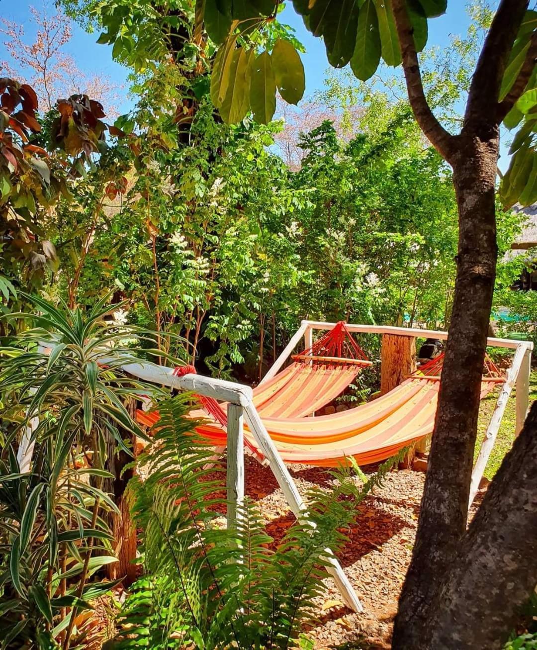 Victoria Falls Backpackers Lodge- Camp Sites Buitenkant foto